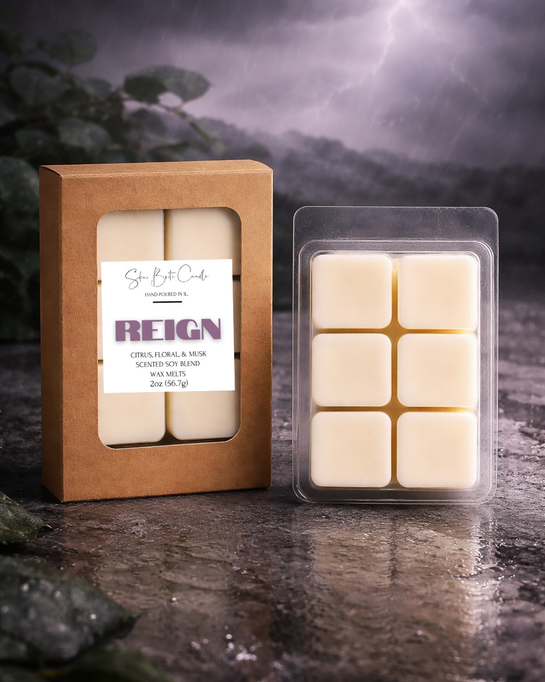 Reign – Rain Water, Citrus, Floral & Musk Wax Melts | Crisp & Refreshing